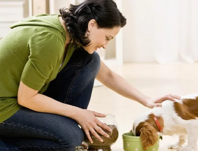 Pet cared for by Lil' Rascals Pet Sitting